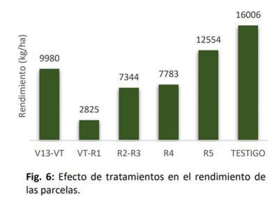 rendimiento_De_las_parcelas