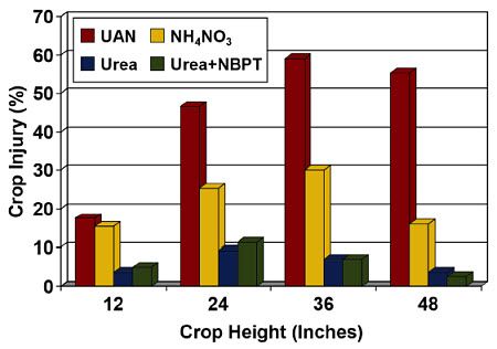 Leaf injury caused by broadcast application of nitrogen sources to corn at different plant heights.