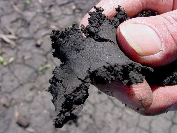 The 'ribbon test' can be used to assess soil moisture and determine if soil is at high risk for compaction.