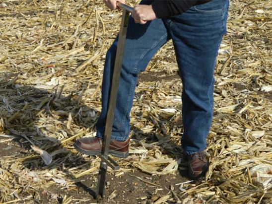 soil sampling in corn field