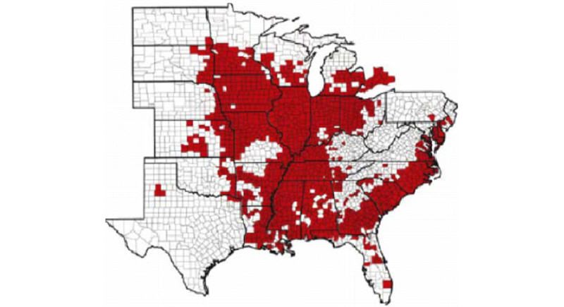 Soybean Cyst Nematode Distribution in the U.S.