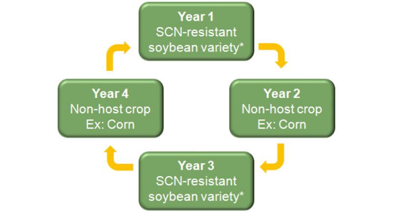 Crop Rotation Strategy