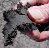 Soil too wet for field work.