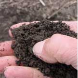 If soil crumbles when pressed, soil is suitable for field work.