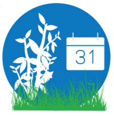 2.