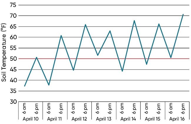 Photo - Soil temperatures at 6 AM and 6 PM for 7 days after planting corn in a stress emergence field location near Eau Claire, WI, in 2015.