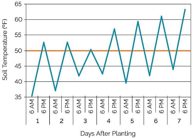 Chart showing soil temperatures at 6 AM and 6 PM for seven days after planting in a stress emergence field location near Eau Claire, WI.