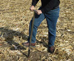 Soil sampling after corn harvest.