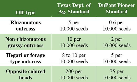 Standards for certified grain sorghum seed.