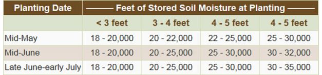 Adjusting sorghum planting rate to available stored soil moisture in arid environments.