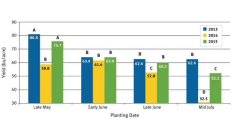 Planting date effects by year on soybean yield.