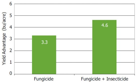 Small-plot yield advantages with fungicide and fungicide + insecticide applications averaged over a 5-year period.