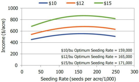 Chart showing optimum economic seeding rates at various soybean market prices.