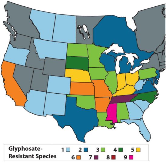 Confirmed glyphosate-resistant weed populations in North America.