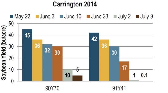 as influenced by planting date and variety.