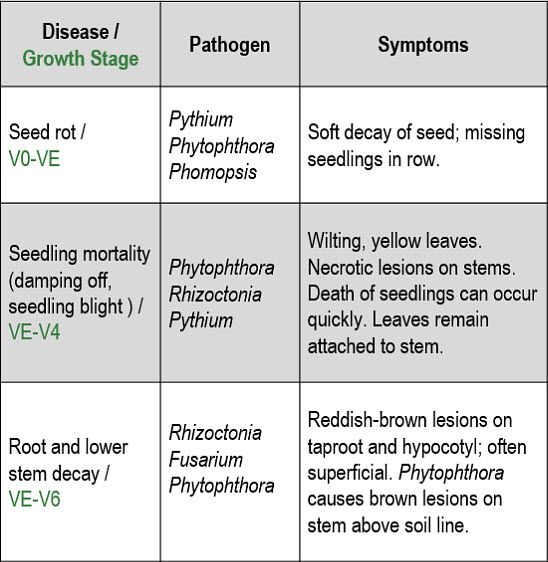 This table includes soybean disease names and sypmtoms.