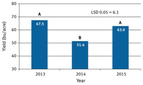 Year effect on soybean grain yield averaged among planting dates and tested varieties 2013-2015.