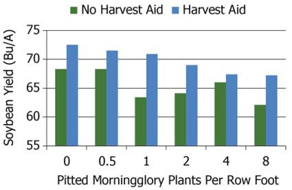 Effect of harvest aids on final soybean yield.