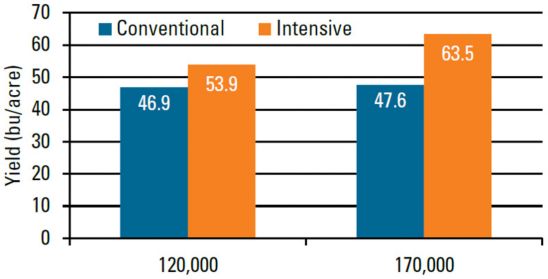 Management system effect on soybean yield at seeding rates of 120