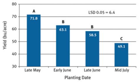 Planting date effect on soybean grain yield averaged among years and tested varieties 2013-2015.