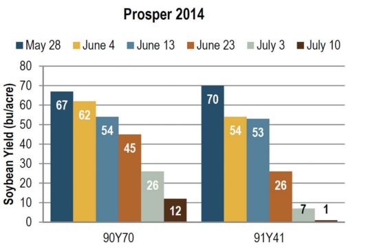 as influenced by planting date and variety.