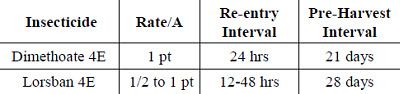 Commonly used insecticide treatments for two-spotted spider mite control.