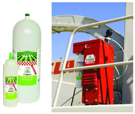 spring_forage_crops_2