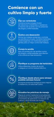 Comience con un Cultivo Limpio y Fuerte  Seleccione sus variedades  Combine biotecnologías (traits) de tolerancia a herbicidas o resistencia a insectos de acuerdo con las presiones de plagas y enfermedades.  Realice la desecación  Elimine las malezas presentes y controle las semillas de malezas que se encuentran en el suelo.  Combine herbicidas en postemergencia con herbicidas en preemergencia de las malezas.  Proteja la semilla  Elija una protección de semillas contra las plagas y enfermedades iniciales del cultivo.  Planifique su programa de herbicidas  Utilice diferentes modos de acción y realice el control residual.  Planifique ahora para retrasar los posibles estreses futuros  Agregue productos biológicos para mejorar la resiliencia y la salud del cultivo.  Actualice las prácticas de manejo  Mejore el control actualizando la preparación del suelo, el momento de la aplicación, la rotación de cultivos y otros factores.