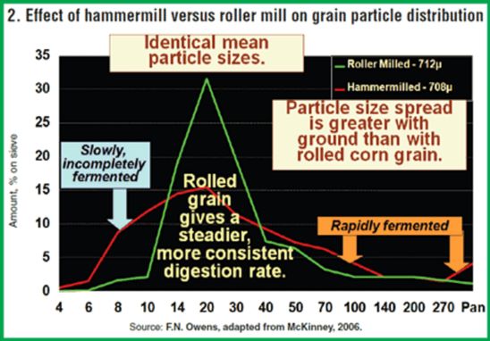 Effect of hammermill versus roller mill on grain particle distribution.