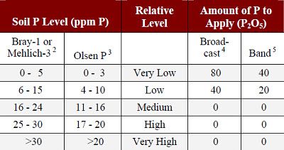 Phosphorus fertilizer recommendations