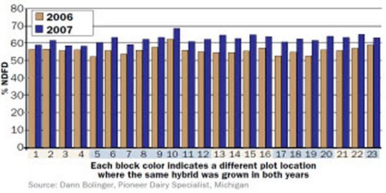 Chart: Wet versus dry growing environment effect on the same hybrids.