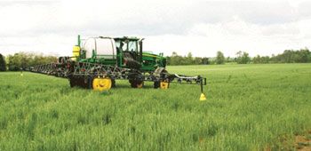 Terminating cover crops at an early growth stage.