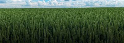 text-on-image-image-desktop_lv-2