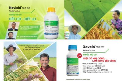 Thuốc diệt cỏ - Giải pháp cho một vụ mùa năng suất và bội thu!