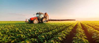 Banner com sementes de soja