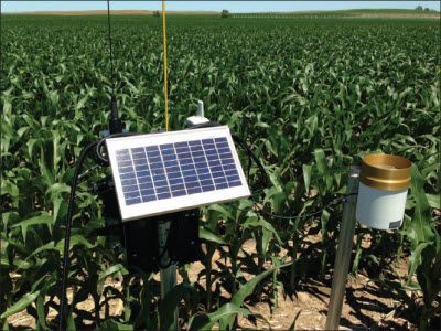 TDR probe (with rain gauge) installed in corn field.