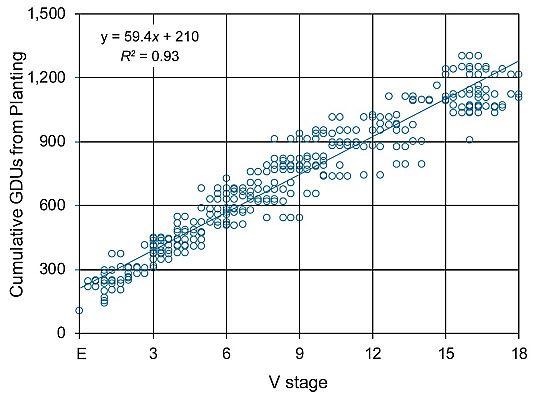 Chart showing the relationship between corn vegetative (V) stage and cumulative GDUs from planting for 73- to 87-CRM hybrids.