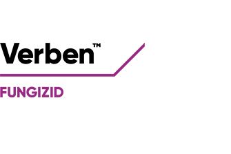 Verben Logo
