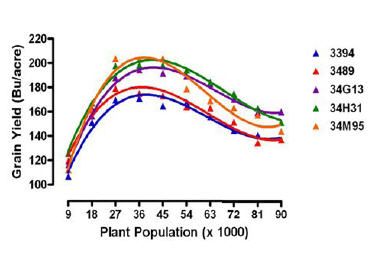 Average yield response of several Pioneer hybrids to plant population.