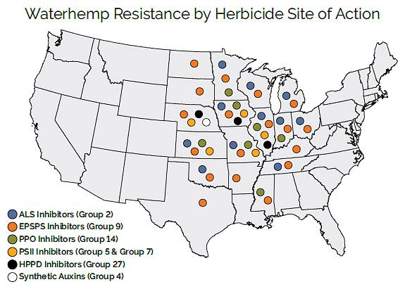 Waterhemp Resistance by Herbicide Site of Action
