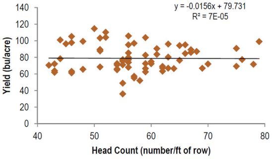 Regression of grain yield and head count, 11 locations.