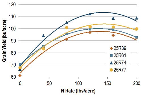 Yield by variety and N rate averaged across all six locations.