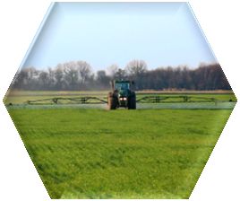 Take advantage of a wide spray window