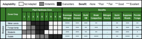 Geographic adaptation and benefit ratings for brassica cover crops used in corn and soybean cropping systems.