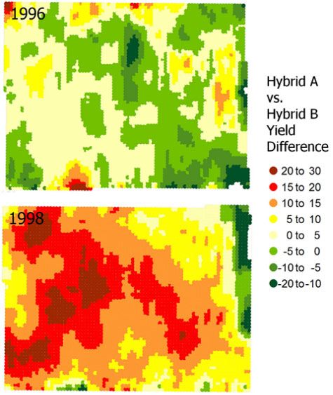Yield difference maps from a Pioneer split-planter study conducted in northern Illinois in 1996 and 1998, using the same 2 hybrids both years.