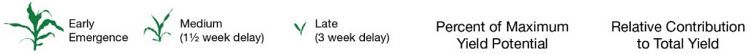 Yield potential of delayed and uneven corn stands.