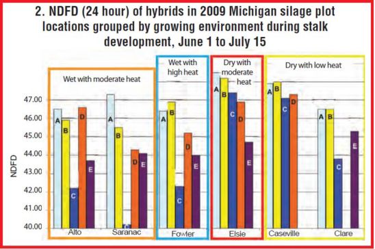 Chart: How five hybrids differed in 24-hour NDFD when grouped by the average growing conditions in Michigan during stalk development.