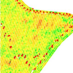 Yield monitor map showing grain flow lag.