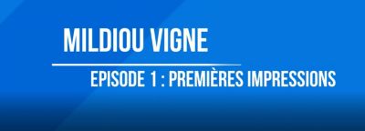 Zorvec Maguelone Episode 1