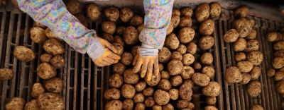 エンカンティア™ バナー